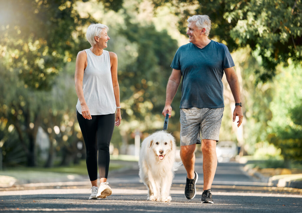 Lowering high blood pressure, fitness and walking with dog and couple in neighborhood park for relax, health and sports workout. Love, wellness and pet with old man and senior woman in outdoor morning walk together