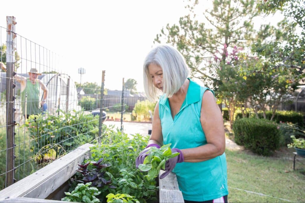 elderly-woman-gardening-in-raised-bed